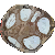 stoneflower.png